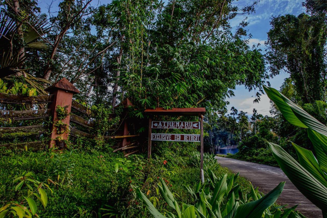 Atremaru Jungle Retreat Hotel Puerto Princesa Eksteriør billede